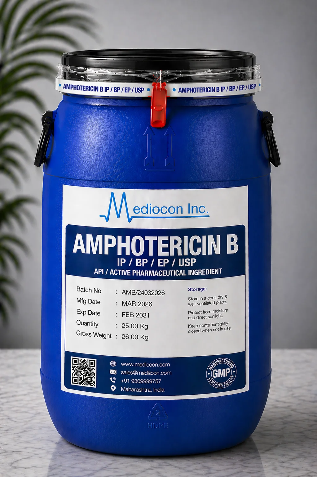 Amphotericin B API