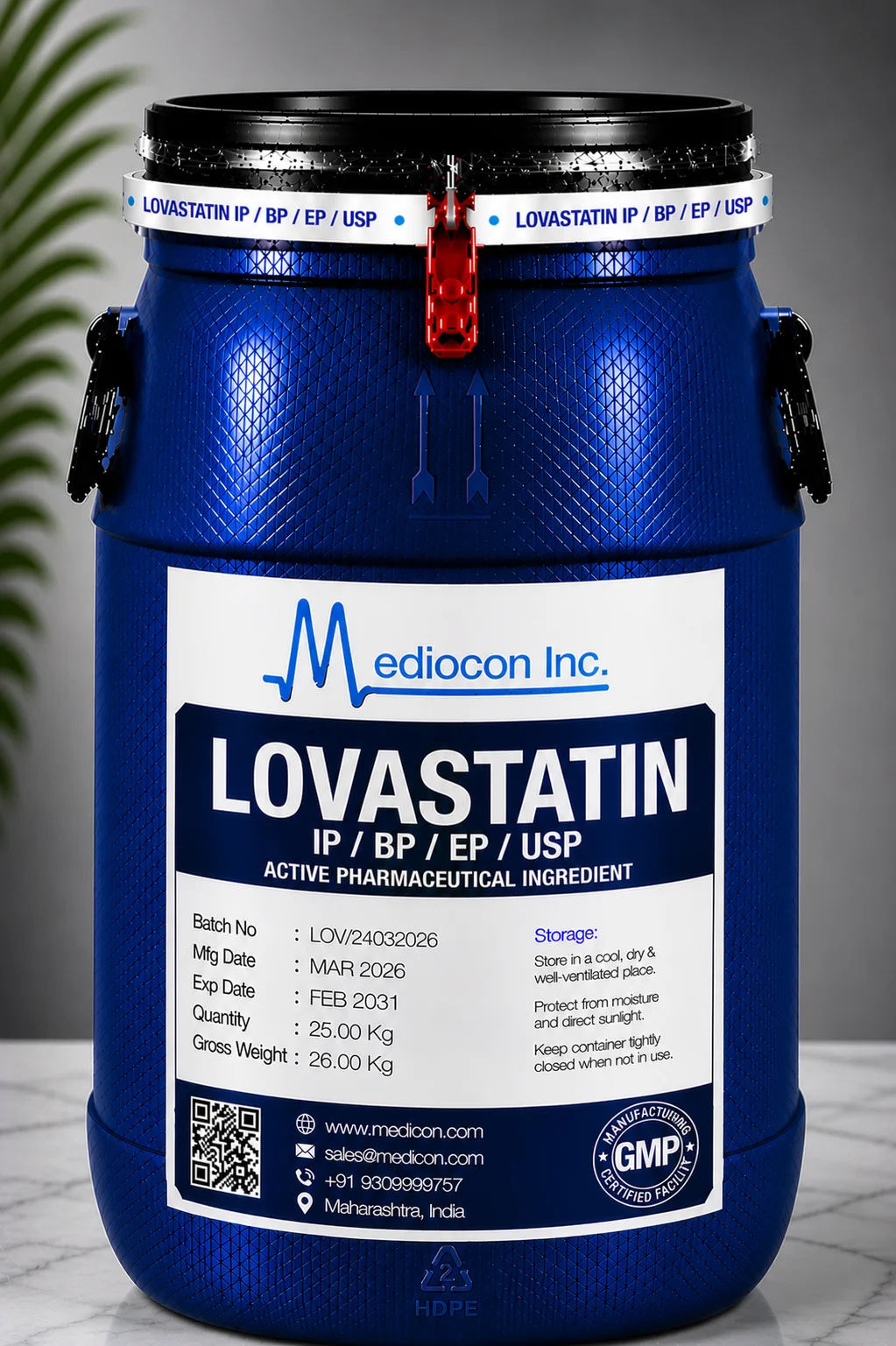 Lovastatin API