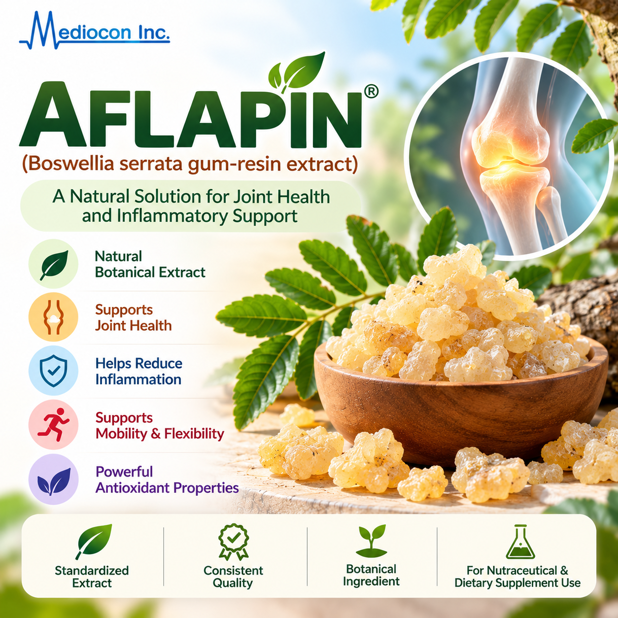 AFLAPIN (Boswellia serrata Gum-Resin Extract) Manufacturer in India | Mediocon Inc. — Mediocon Inc