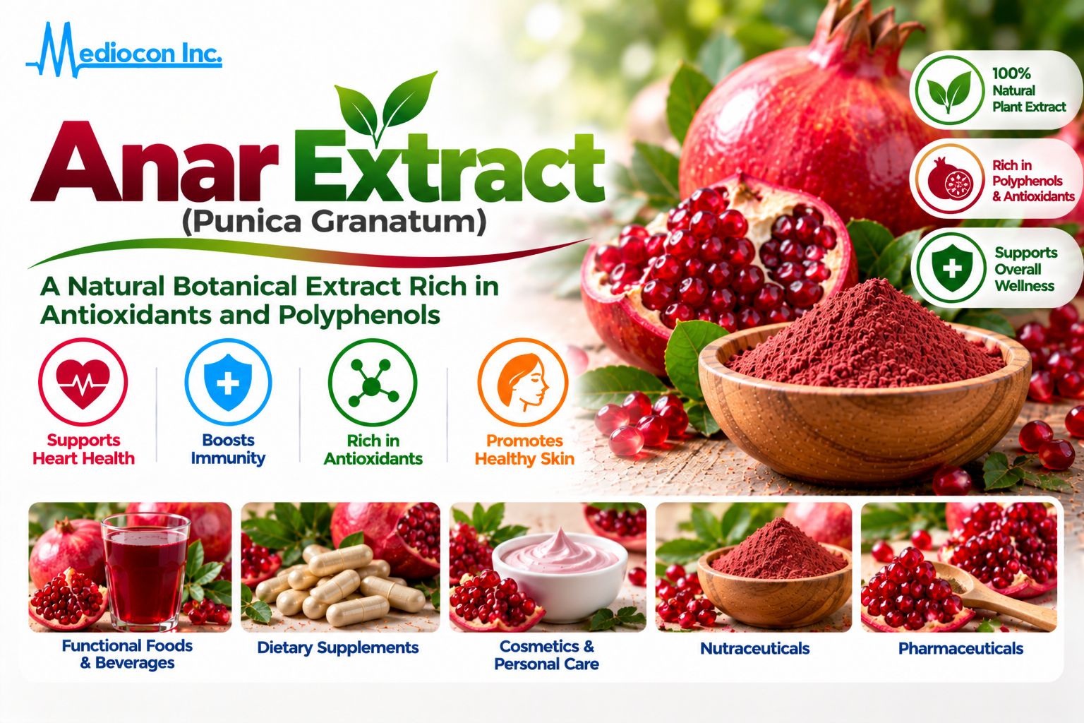 Anar Extract (Punica granatum) Manufacturer in India | Mediocon Inc. — Mediocon Inc