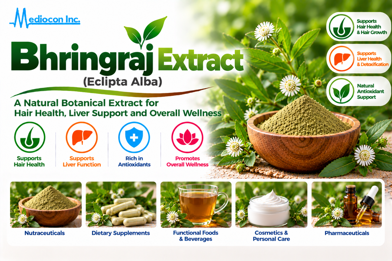 Bhringraj Extract (Eclipta alba) Manufacturer in India | Mediocon Inc. — Mediocon Inc