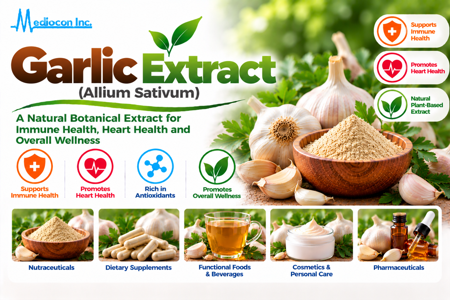 Garlic Extract (Allium sativum L.) Manufacturer in India | Mediocon Inc. — Mediocon Inc