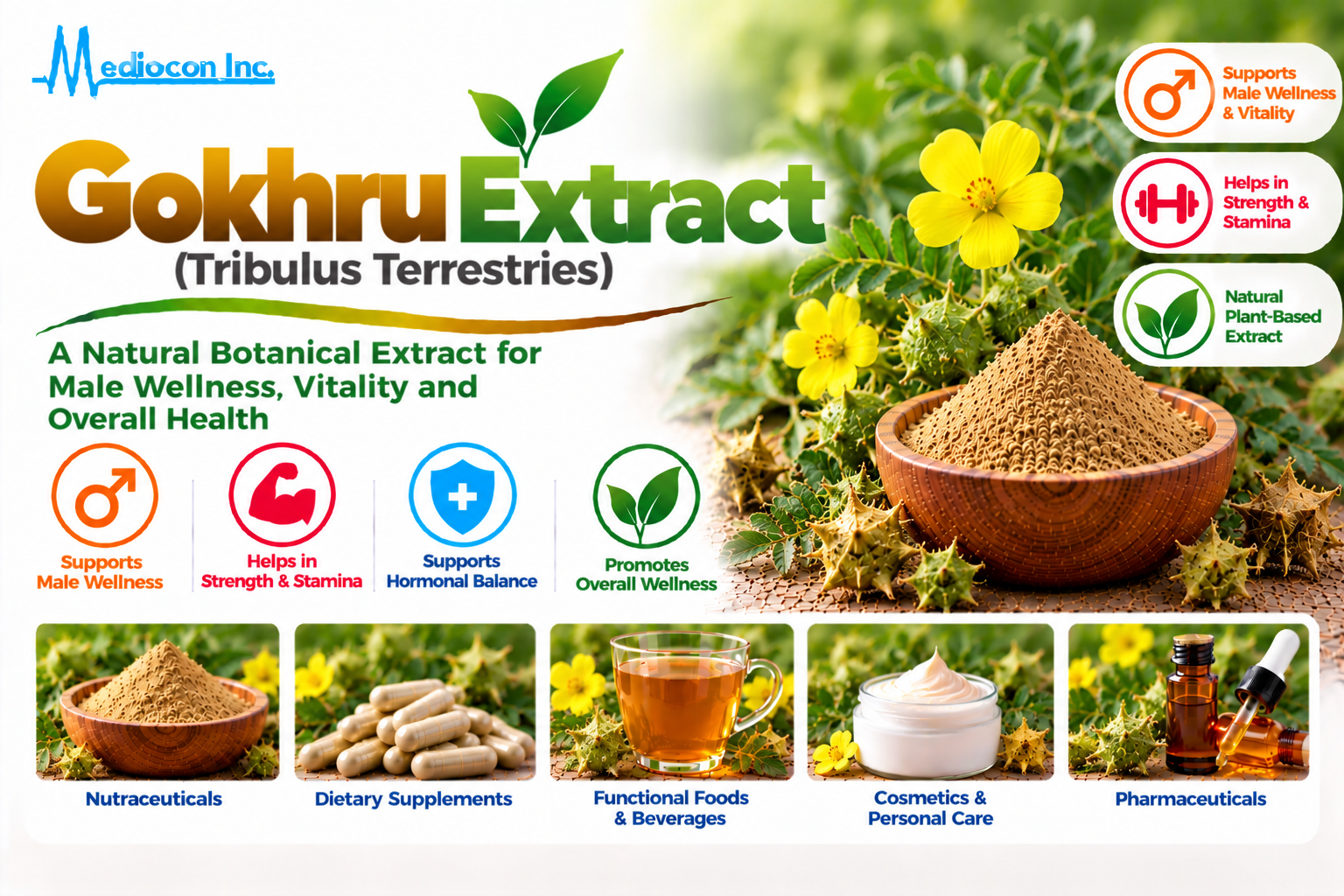 Gokhru Extract (Tribulus terrestris) Manufacturer in India | Mediocon Inc. — Mediocon Inc