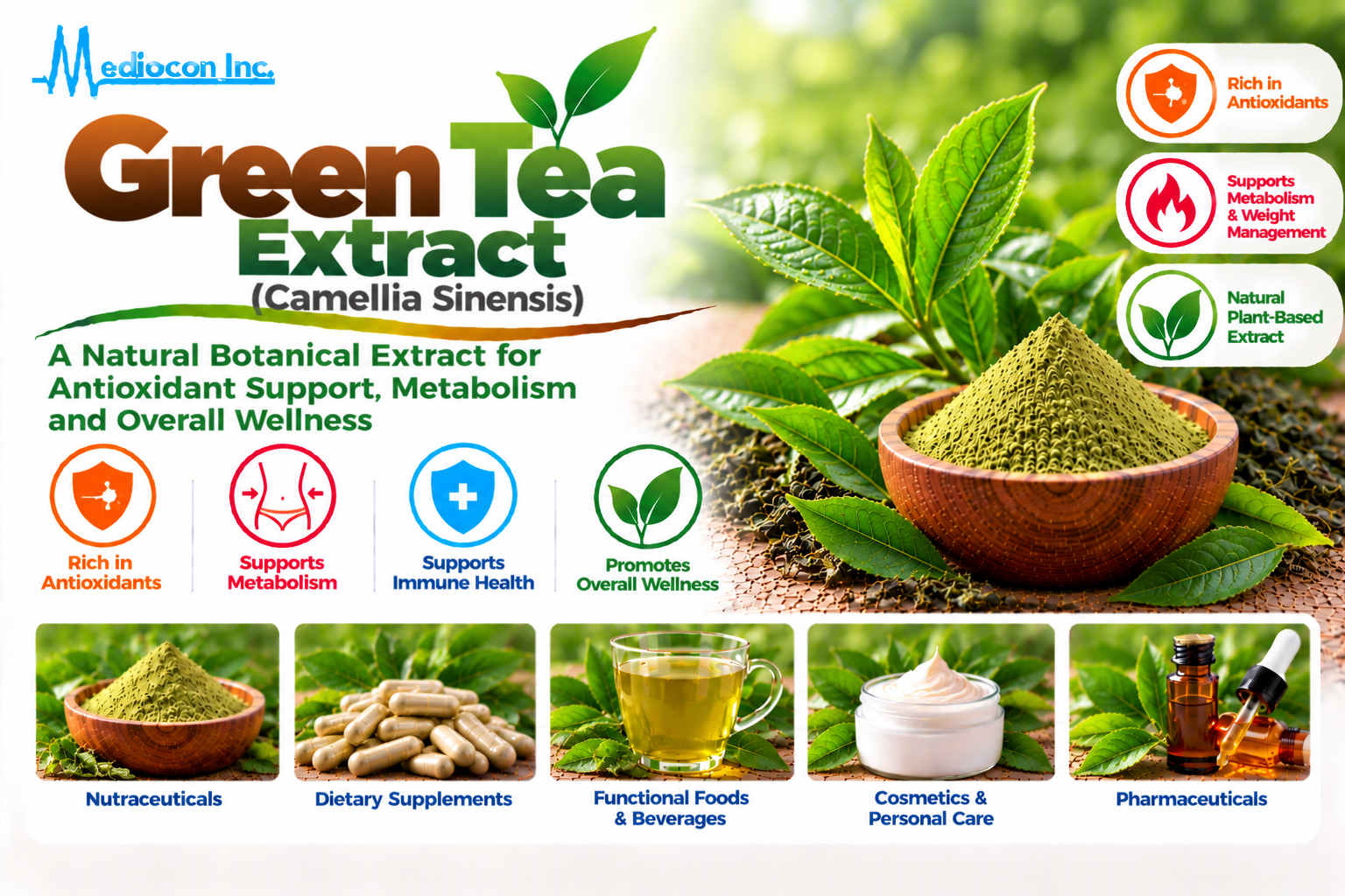 Green Tea Extract (Camellia sinensis) Manufacturer in India | Mediocon Inc. — Mediocon Inc