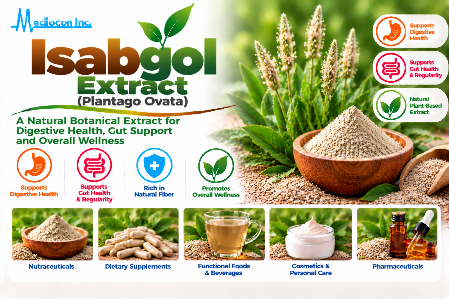Isabgol Extract (Plantago ovata) Manufacturer in India | Mediocon Inc. — Mediocon Inc