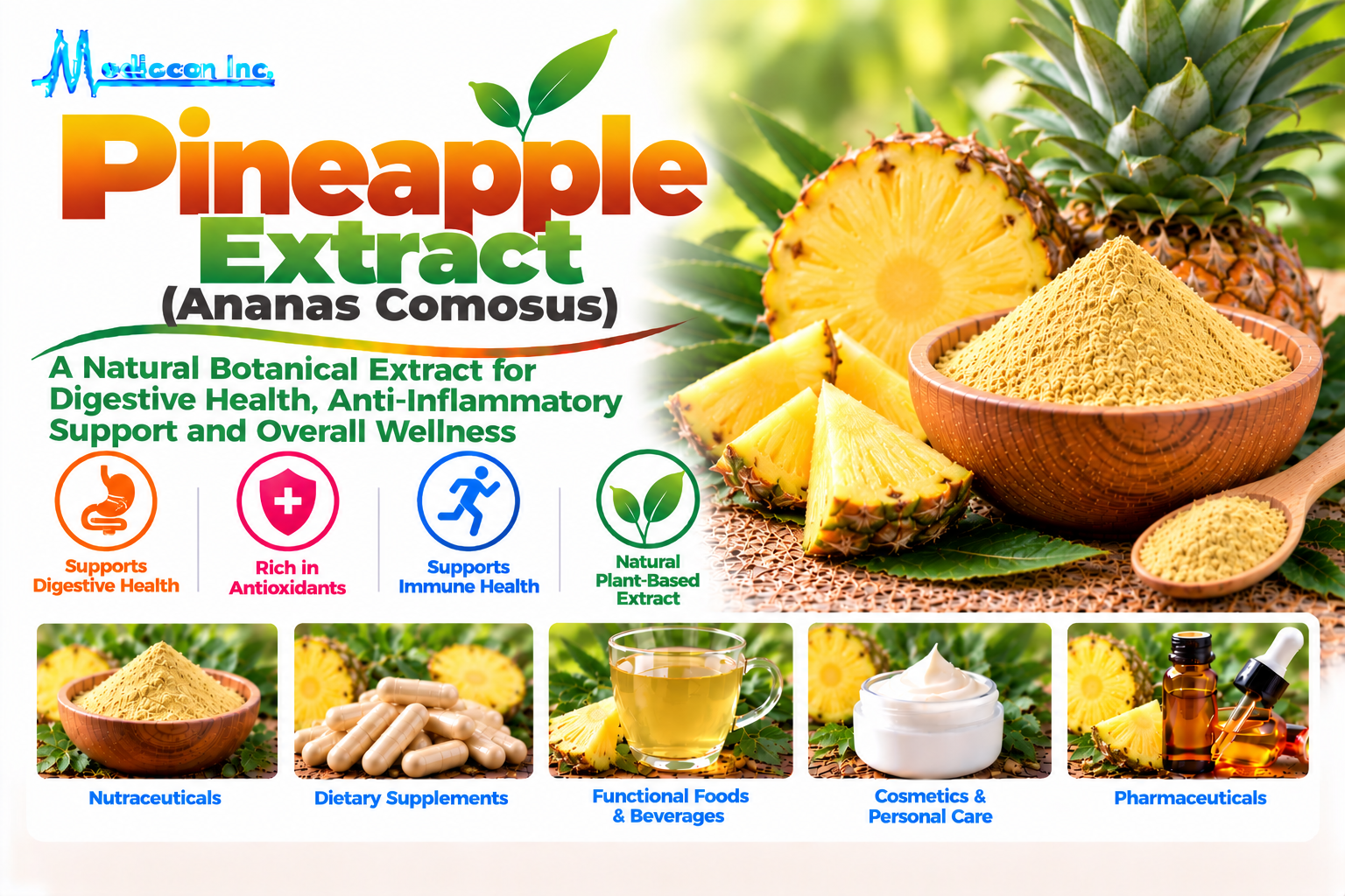 Pineapple Extract (Ananas Comosus) Manufacturer in India — Mediocon Inc