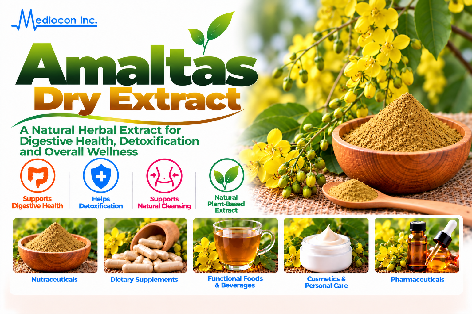 Amaltas Dry Extract (Cassia fistula) Manufacturer in India — Mediocon Inc