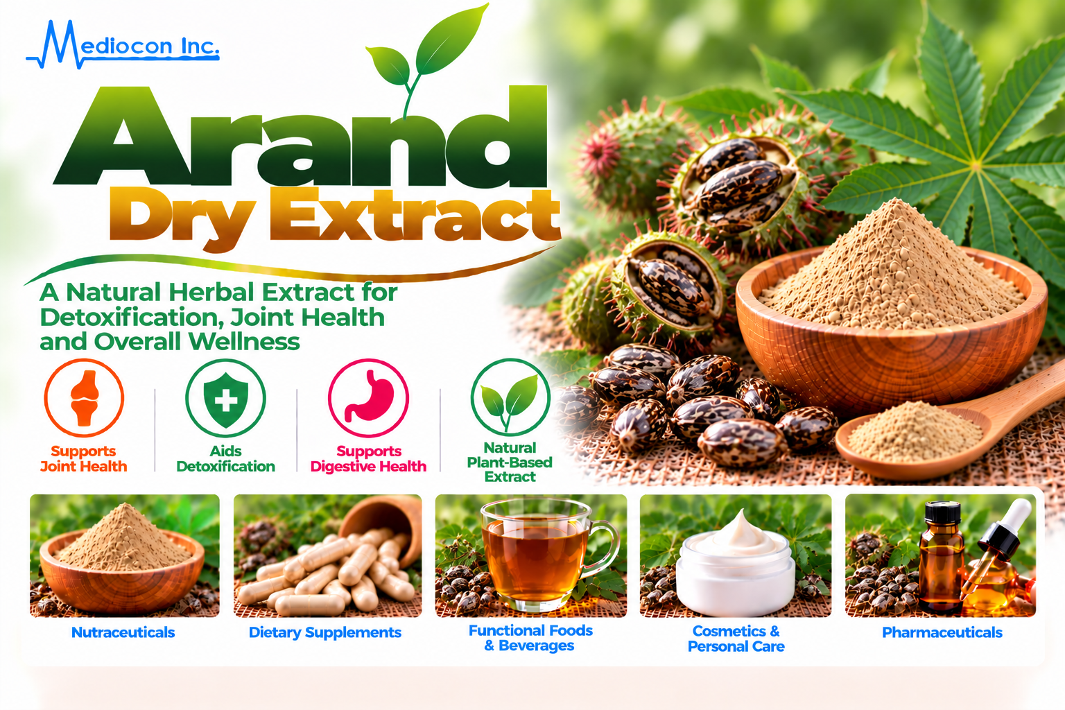 Arand Dry Extract (Ricinus communis) Manufacturer in India — Mediocon Inc