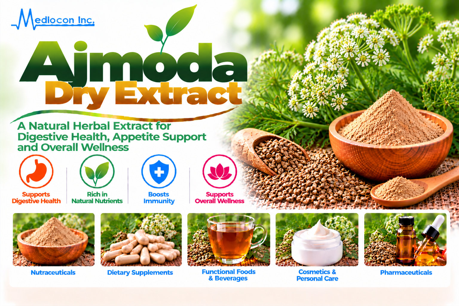 Ajmoda Dry Extract (Apium graveolens) Manufacturer in India — Mediocon Inc
