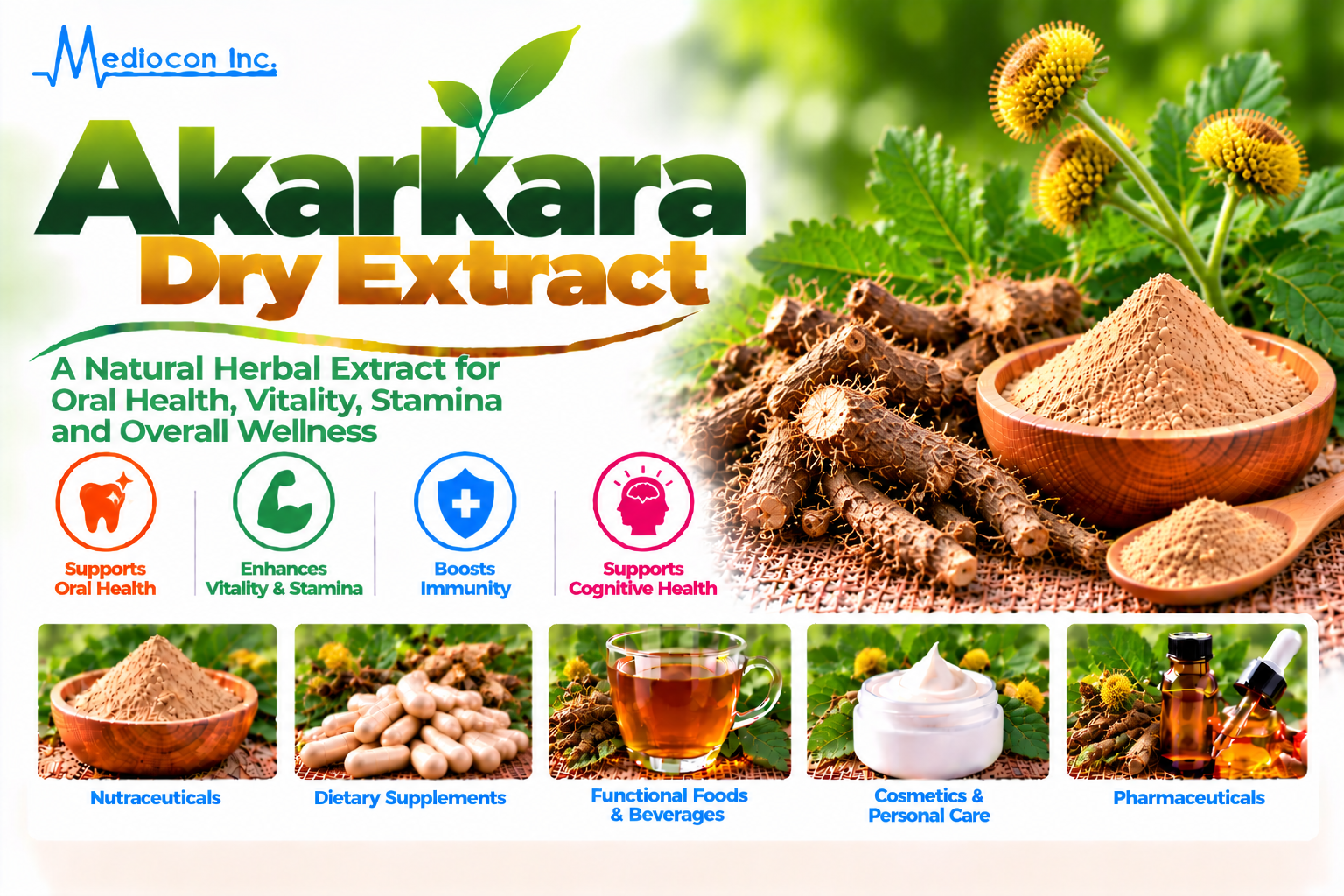 Akarkara Dry Extract Manufacturer in India | Mediocon Inc. — Mediocon Inc