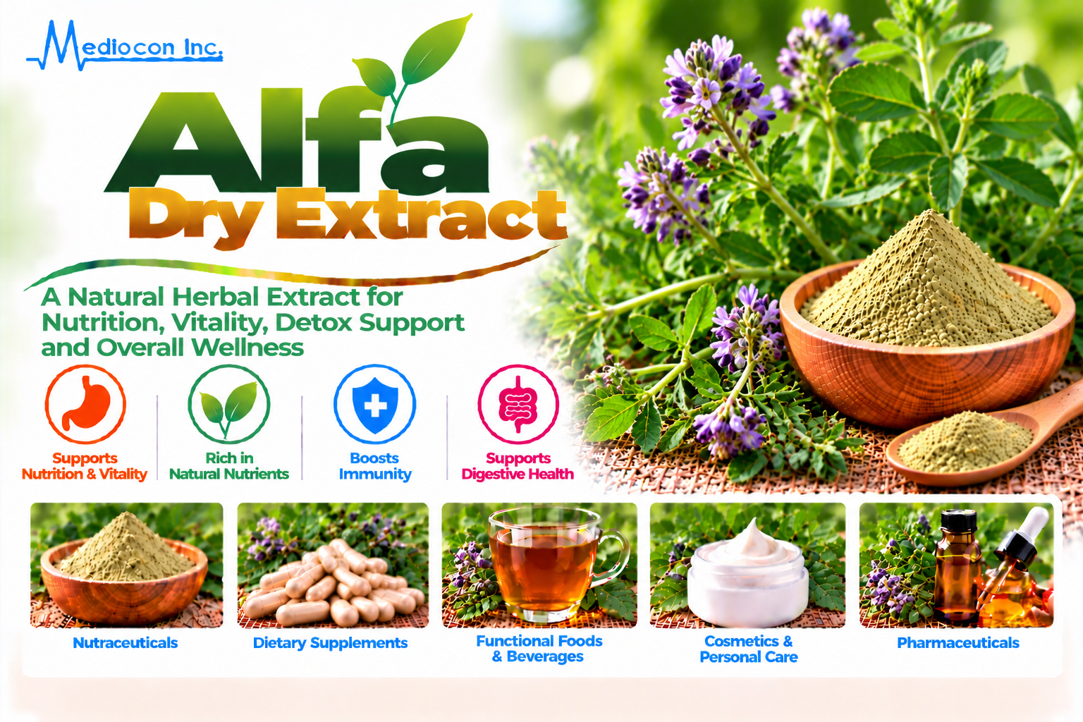 Alfalfa Dry Extract (Medicago sativa) Manufacturer in India | Mediocon Inc. — Mediocon Inc