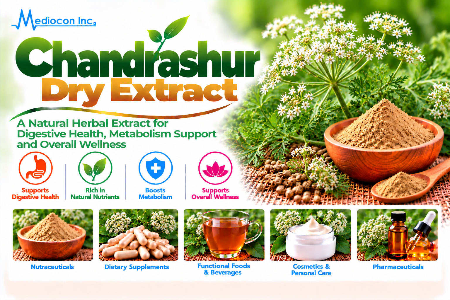 Chandrashur Dry Extract Manufacturer in India | Mediocon Inc. — Mediocon Inc