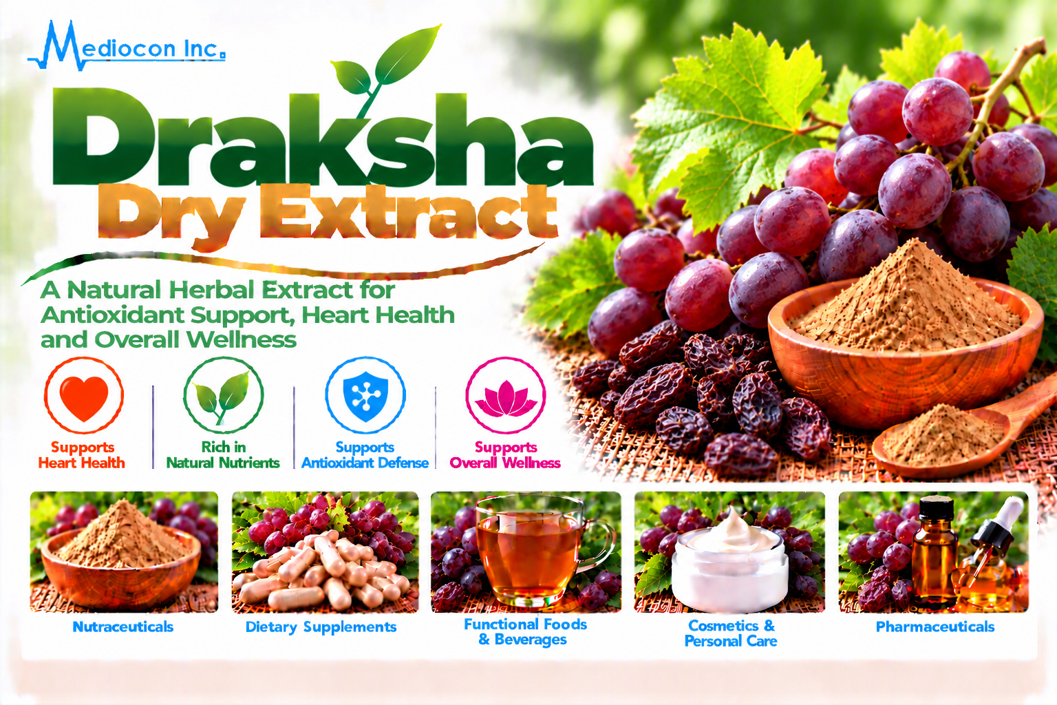 Draksha Dry Extract Manufacturer in India | Mediocon Inc. — Mediocon Inc