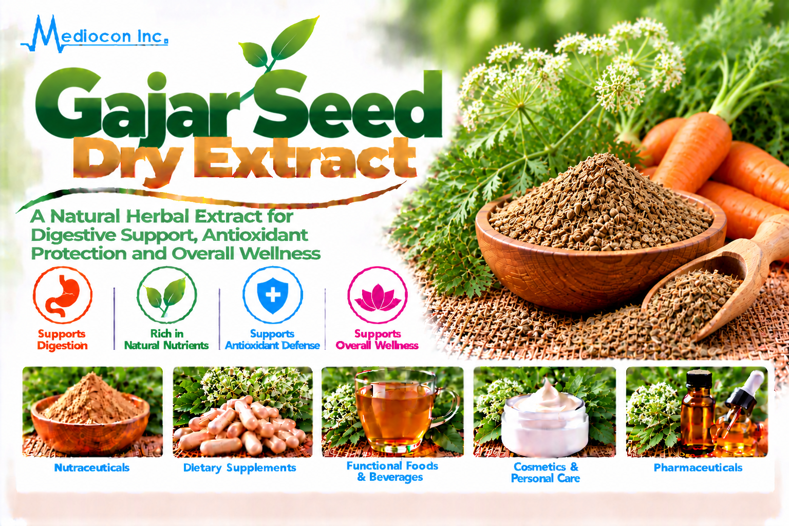 Gajar Seed Dry Extract Manufacturer in India | Mediocon Inc. — Mediocon Inc