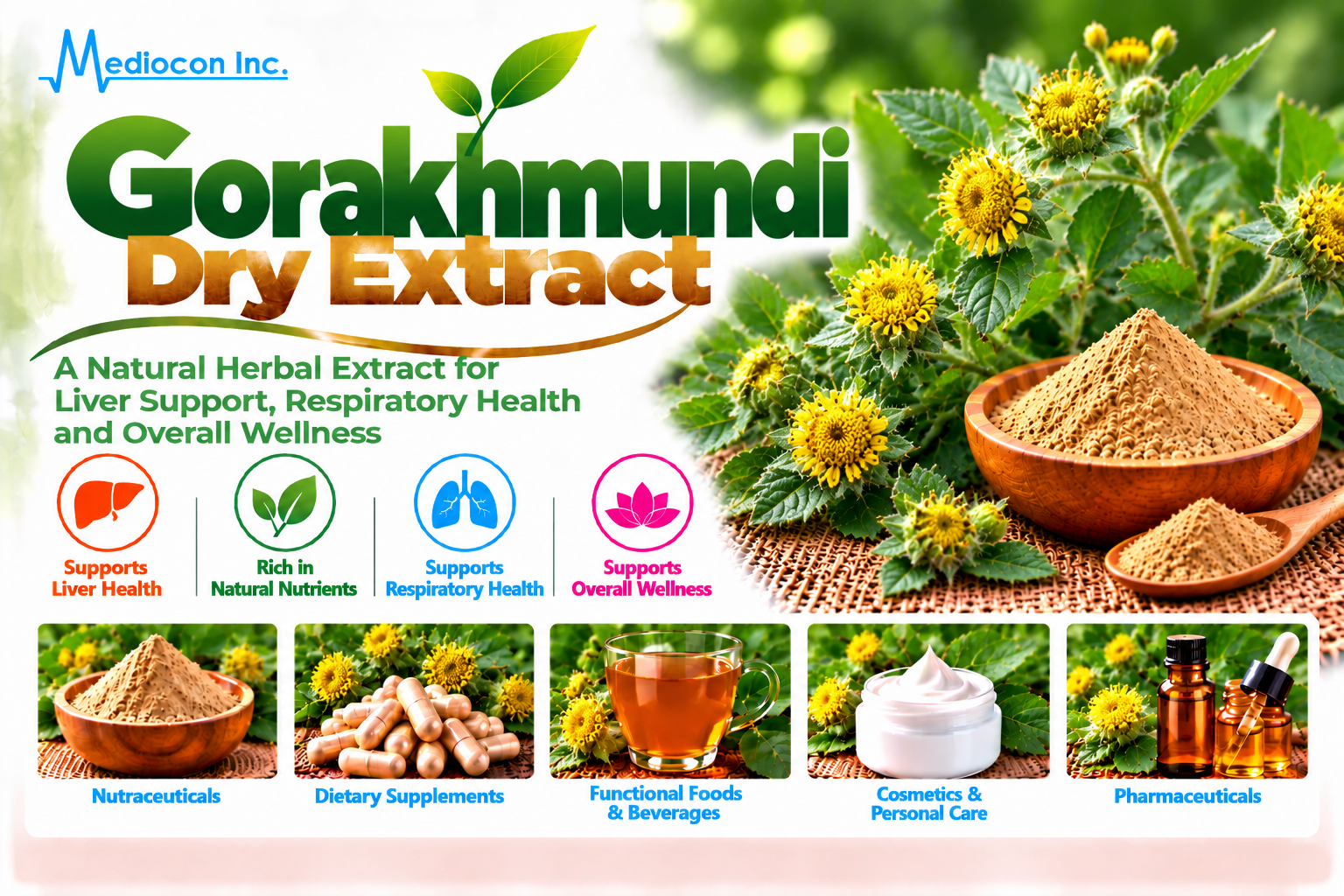 Gorakhmundi Dry Extract Manufacturer in India | Mediocon Inc. — Mediocon Inc