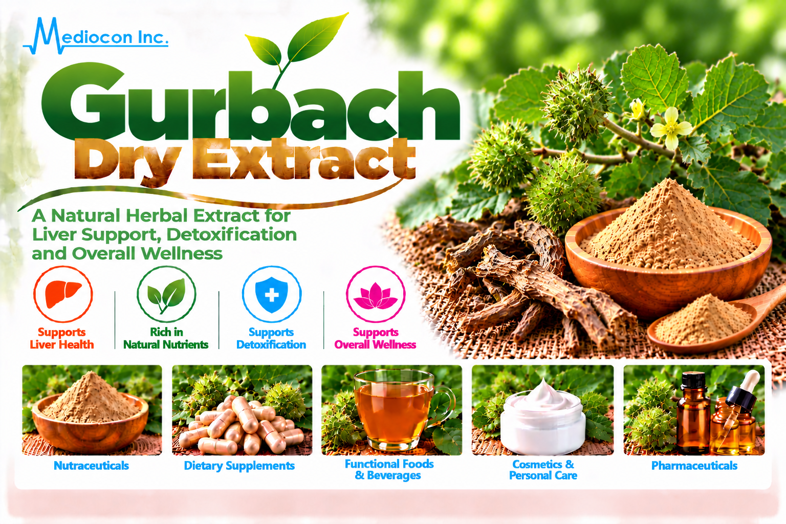 Gurbach Dry Extract Manufacturer in India | Mediocon Inc. — Mediocon Inc