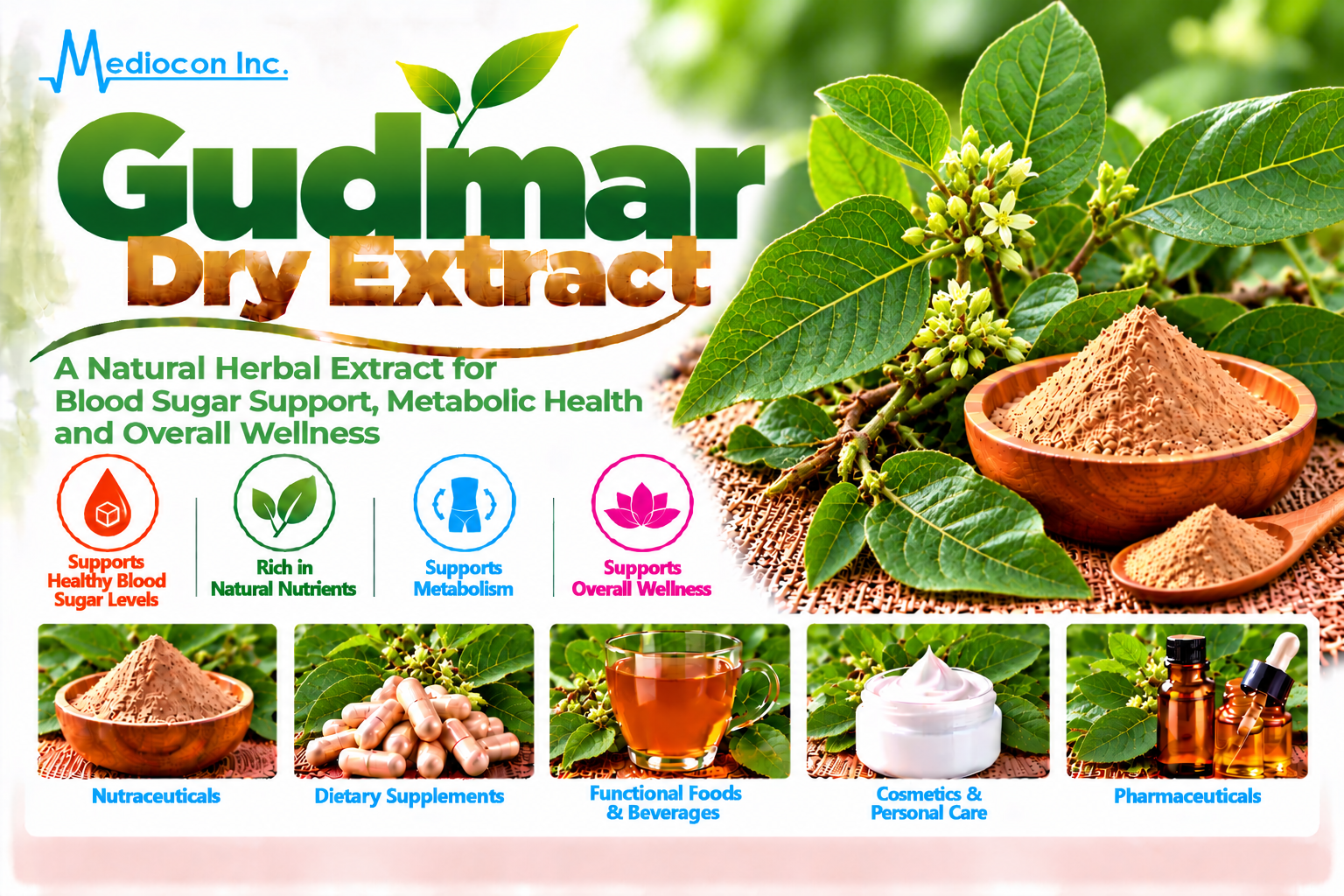 Gudmar Dry Extract Manufacturer in India | Mediocon Inc. — Mediocon Inc